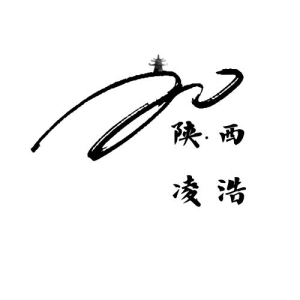 陜西凌浩電子商務有限公司
