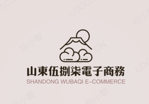 山東伍捌柒電子商務有限公司